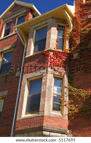 An older university brick building covered with vivid creeping vines.