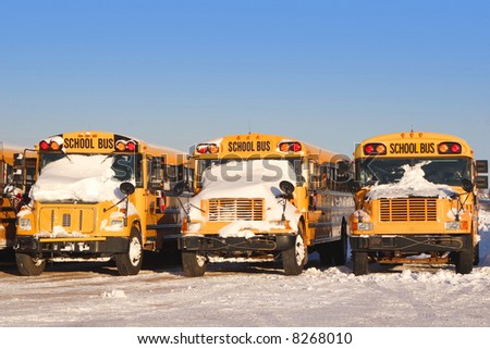A row of school buses on a sunny day in winter.