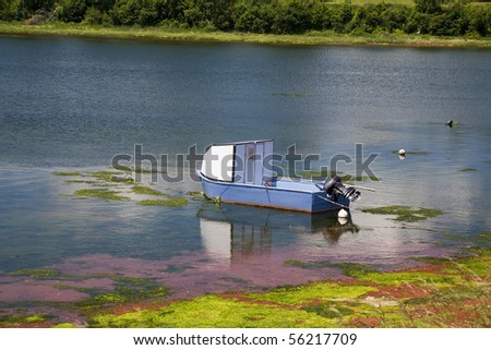 A small recreational or fishing boat tied up along the sandy shoreline of North Rustico, Prince Edward Island, Canada.