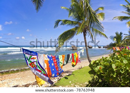 BATHSHEBA, BARBADOS - NOV 9: Colorful beach towels swing in the wind on Bathsheba Beach, Barbados, Lesser Antilles on Nov 9, 2010. Bathsheba Beach is famous for its premier surfing.