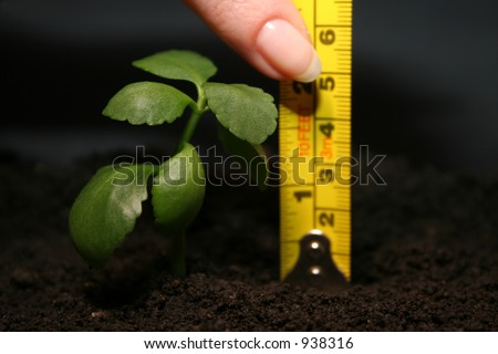 Measurement of height of a plant