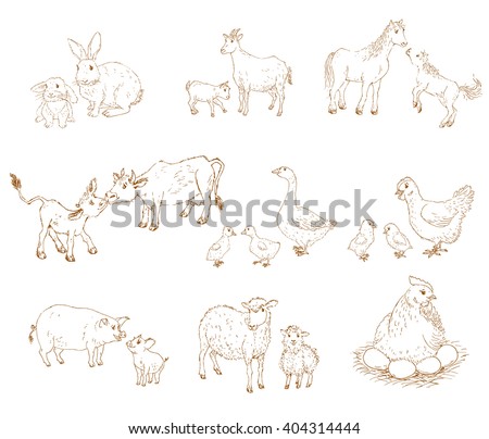 Vector Images Illustrations And Cliparts Farm Baby Animals With