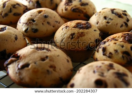 Freshly baked muffins Photo of freshly baked chocolate chip muffins