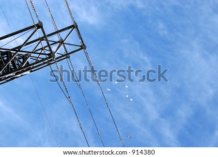 Birds soaring above hydro lines #2