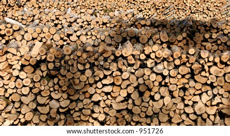 Log pile #1