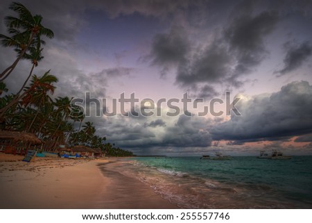 Palm tree beach with dark ominous clouds