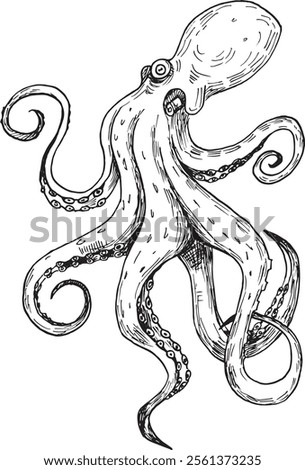 A black-and-white hand-drawn illustration of an octopus. The artwork highlights intricate line work and detailed textures, showcasing the octopus's flowing tentacles and distinct anatomy. 