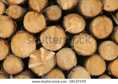 pile of wood logs for fuel