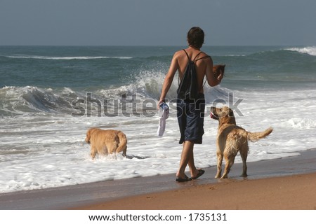 Man playing with his two dogs on beach