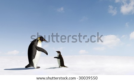 Adelie Penguin and Emperor Penguin connecting with each other.