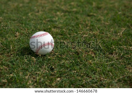 Baseball on the Outfield Grass with room for copy