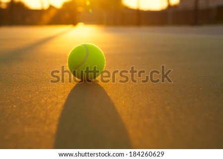 Tennis Ball Backlit by a Warm Sun