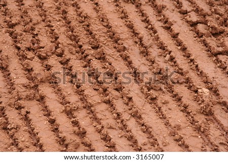 Tracks in the dirt of a baseball infield
