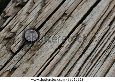 Macro shot of a nail in textured wood