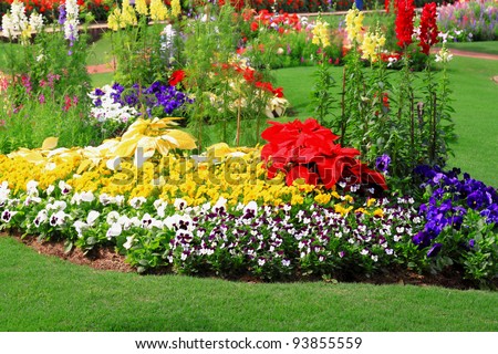 Similar – Foto Bild Blumenbeet mit verschiedenen Blumen im Park