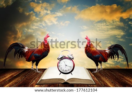 Wake up in morning with rooster crows for read concept