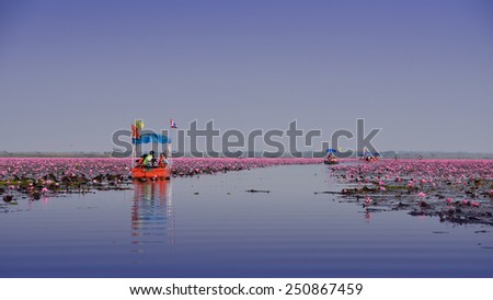 UDONTHANI, THAILAND - JANUARY 31,Tourist boat travel for see pink lotus lake on January 31, 2015 in Nong Han Udonthani, Thailand