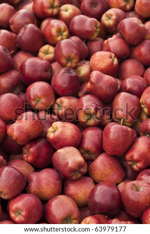 Bushels full of fresh red delicious apples for sale. Shallow depth of field.