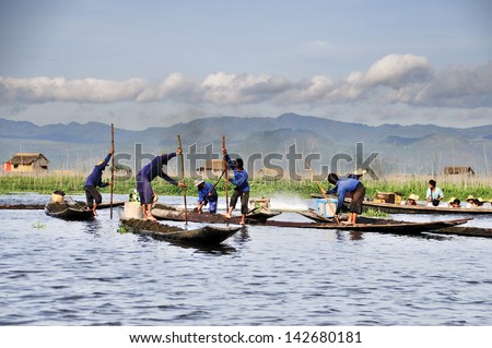 INLAY LAKE,MYANMAR - JUNE 4: For inle lake water boatman on tomato garden work on june 4,2013 in myanmar.