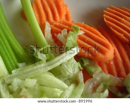 Carrots and Celery macro