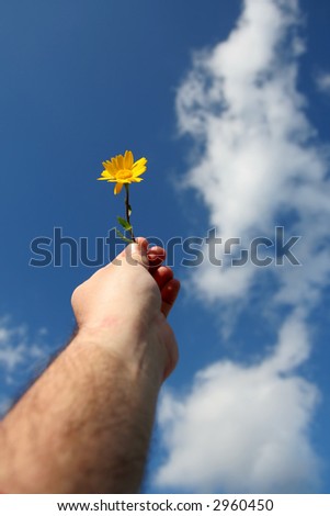 hand holding flower over blue sky