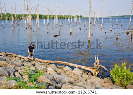 A reservoir with a boy exploring the shoreline. The reservoir is Manasquan Reservoir in New Jersey.