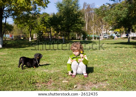The little girl walks with a dog (dachshund) in park. In a hand at the girl a  flower.