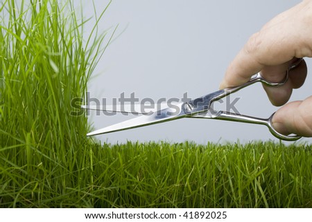 Hand mower cutting scissors a natural grass