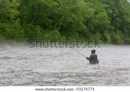 Fisherman catches a salmon river. Fog. Is rain.