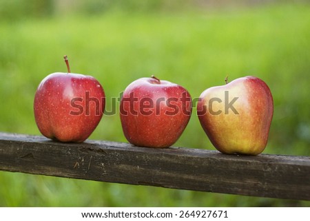 Three organic apples on wooden board on green background. Outdoor