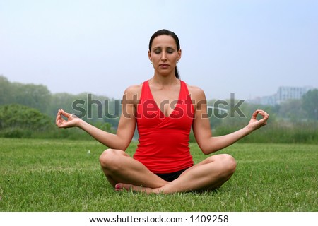 beautiful brunette doing her yoga wearing sport wear