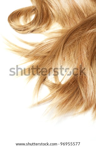 human blonde hair on white isolated background