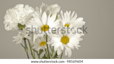 bouquet of white flowers on light grey background