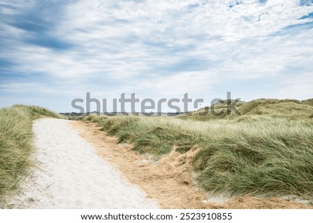 Image, Stock Photo Dune grass at the Baltic Sea beach