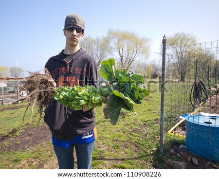 BROOKLYN, NYC - MAR. 18:  Teen displays brussels sprout plant at Floyd Bennett Community Garden in Brooklyn, NY on Mar. 18, 2012. This historic airfield is home to Brooklyn\'s largest community garden.