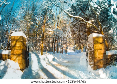 Gated driveway in golden light after snowfall