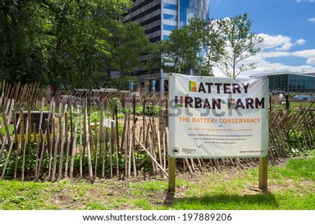NEW YORK CITY - JUNE 6, 2014:  Battery Urban Farm gardening project in NYC. This one acre farm is the largest educational farm in Manhattan.