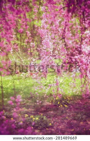 Blur of spring cherry blossoms with texture and artistic painterly effect