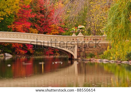 Fall colors at Bow Bridge in Central Park. New York City