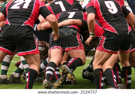 rugby union