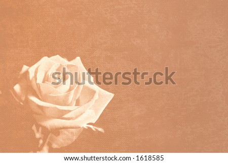 Mail paper with rose watermark