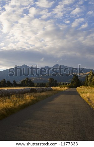 A road, bathed in golden evening sunlight, leads up to the Southern Alps on New Zealand\'s South Island