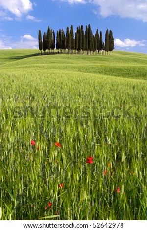 Landscape around Siena called Crete Senesi Siena Tuscany Italy
