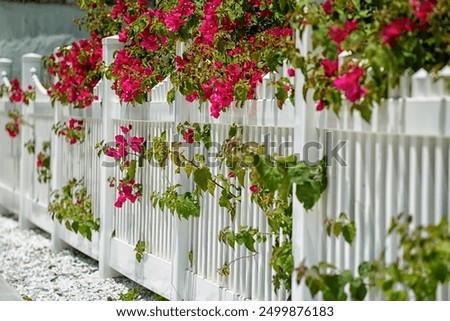 Similar – Image, Stock Photo Picket fence, in the slope