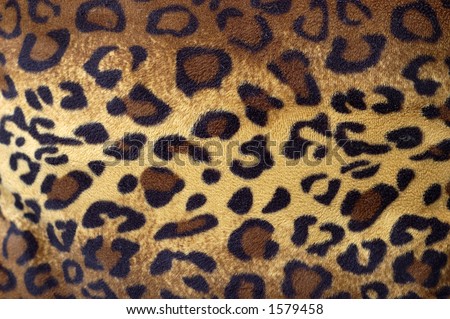 Cheetah Oil Pattern - PBA Experience Oil Pattern