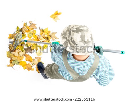 Pile of dead fall leaves being swept by female gardener using fan rake, shot from above on white background
