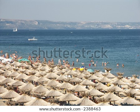Golden Sands beach with rows of straw shade umbrellas in Bulgaria