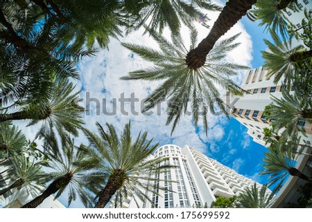 Beautiful Miami Beach fish eye cityscape with palm trees and art deco architecture.