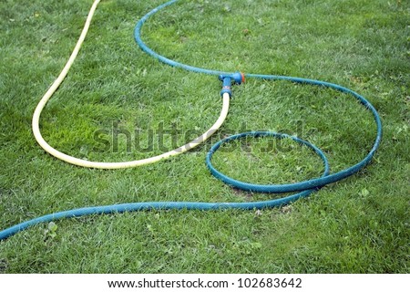 Hose for watering of lawn water  on a background green grass