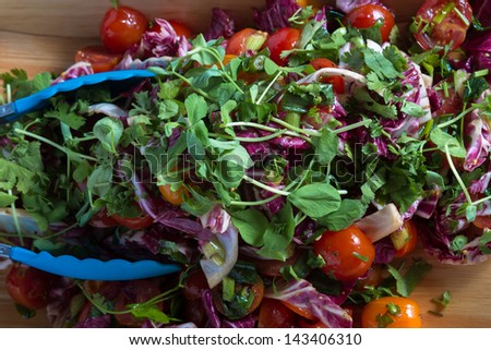 Healthy diet: colourful fresh spinach, red radicchio and tomato salad with parsley and chives. Close up.